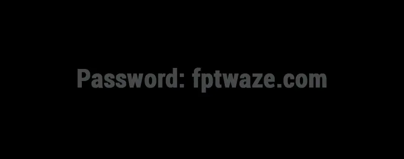 fptwaze